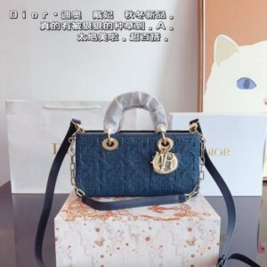 [국내배송]디올 디조이 미디엄백