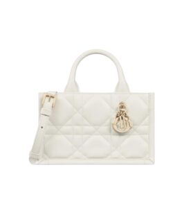 [탑티어/해외배송]디올 북토트 미니 백(라떼/까나쥬/카프스킨)